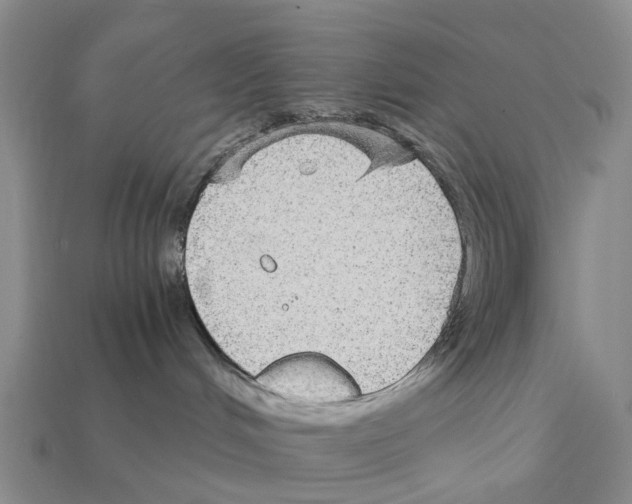 X0000112430048200909251545