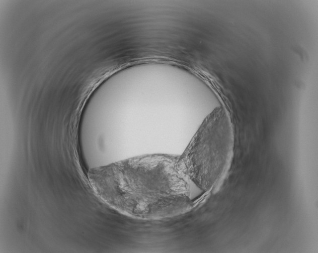 X0000112430049200909251545