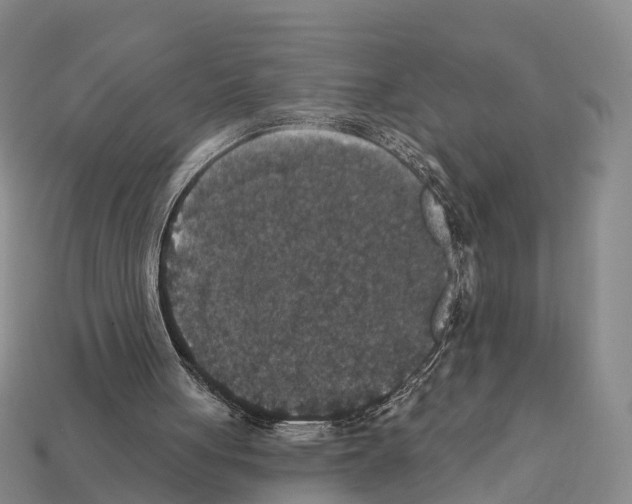 X0000112430051200909251545