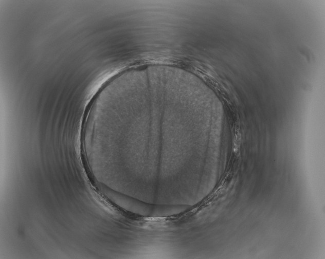 X0000112430052200909251545