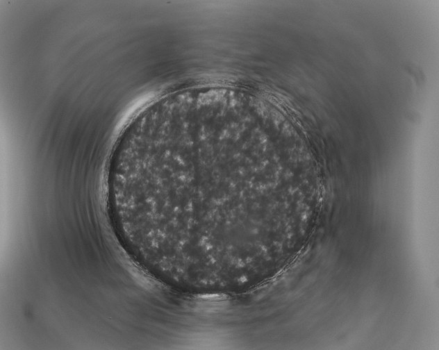 X0000112430053200909251545