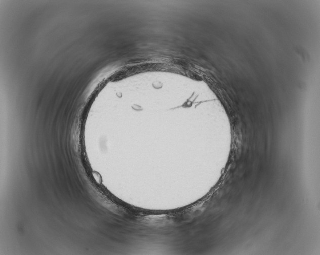 X0000112430054200909251545