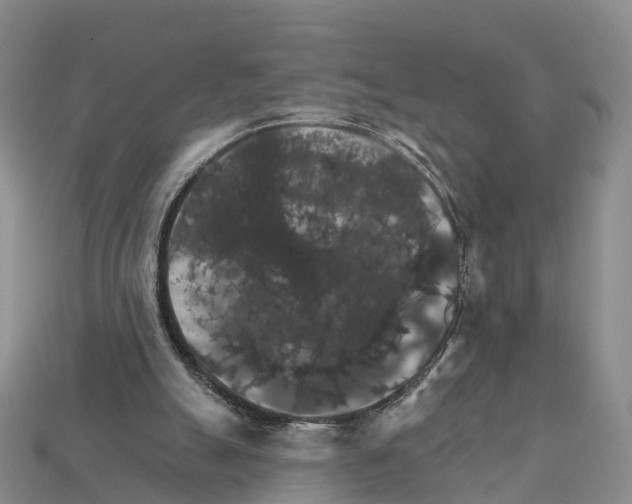 X0000112430055200909251545