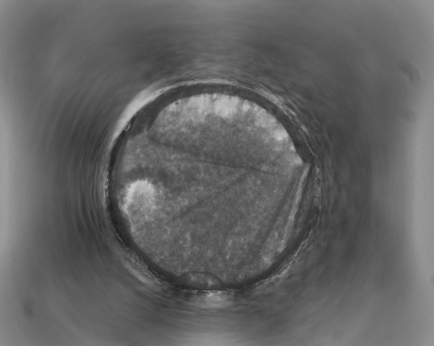 X0000112430056200909251545