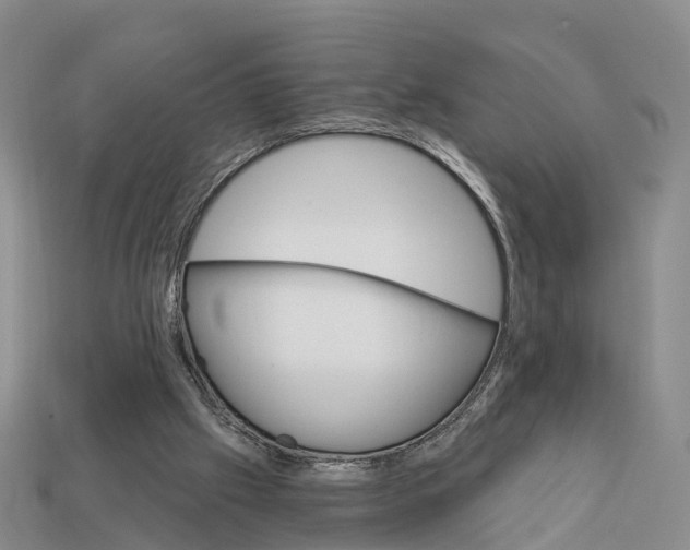 X0000112430057200909251545