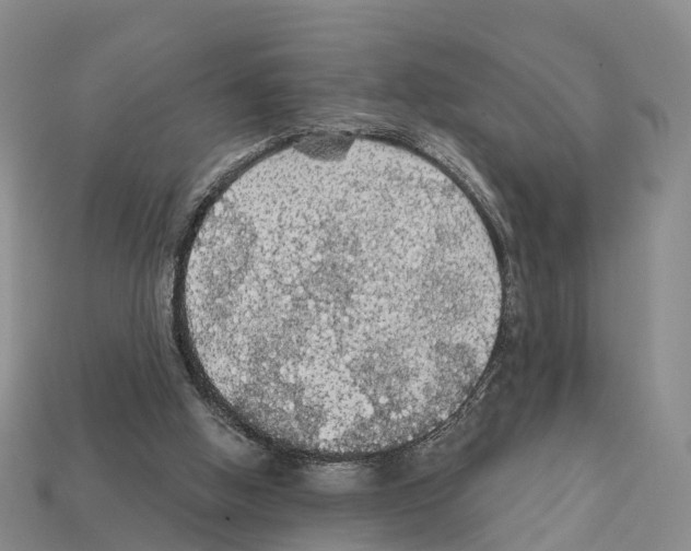 X0000112430058200909251545