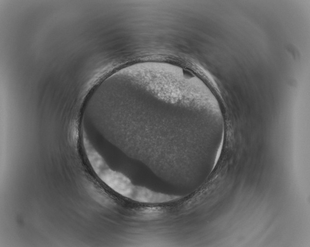 X0000112430059200909251545