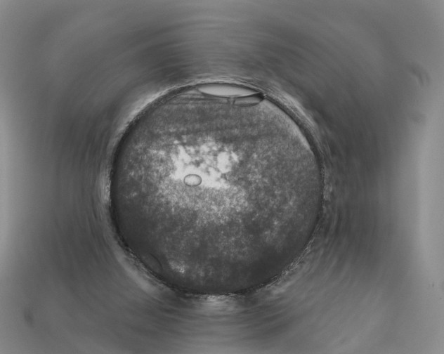 X0000112430060200909251545