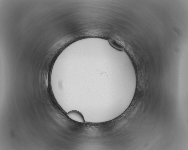 X0000112430062200909251545