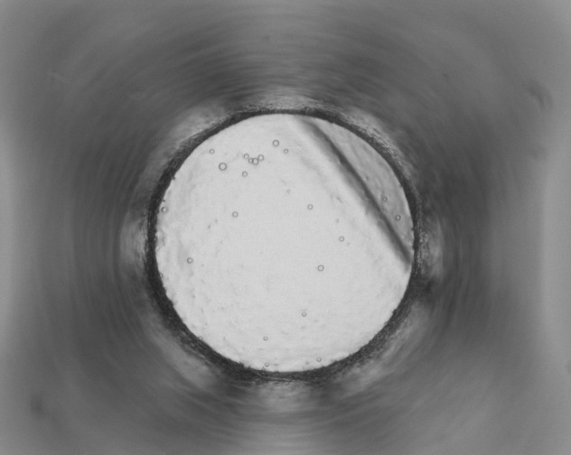 X0000112430063200909251545