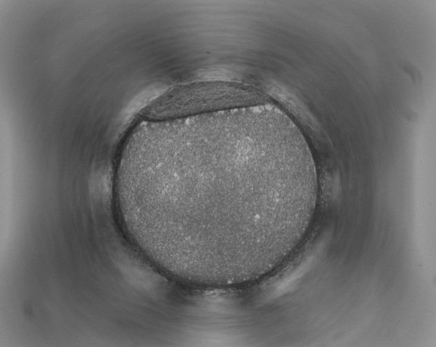 X0000112430064200909251545