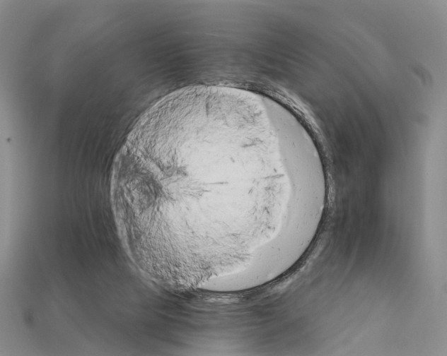 X0000112430065200909251545