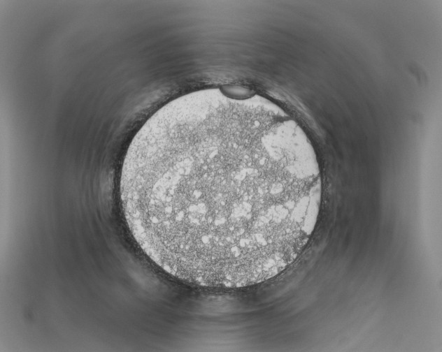 X0000112430066200909251545