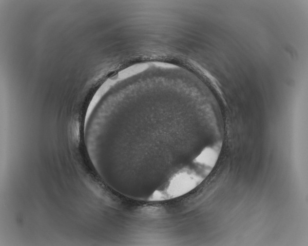 X0000112430067200909251545