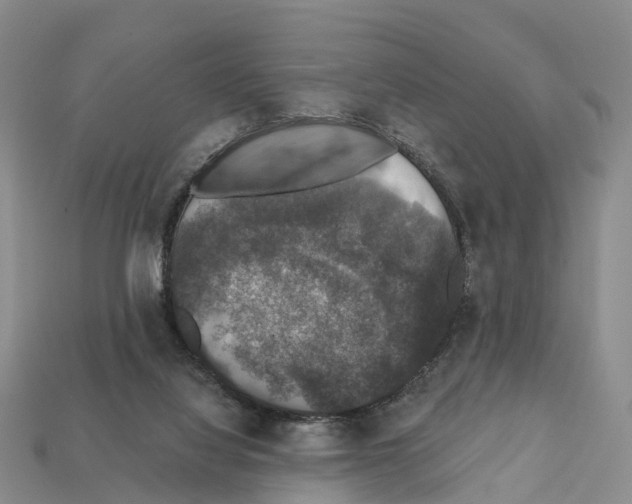 X0000112430068200909251545