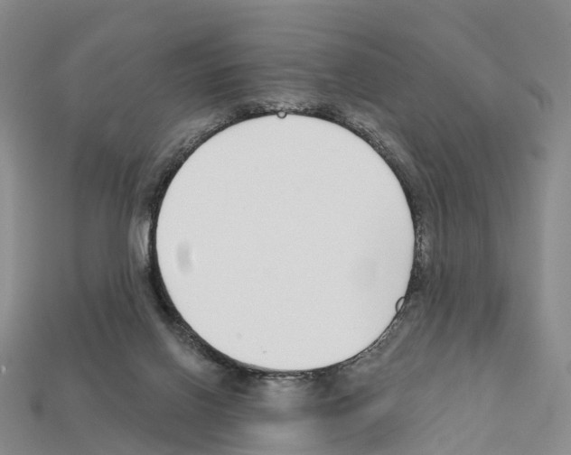 X0000112430070200909251545