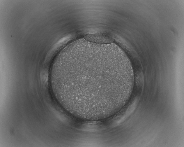 X0000112430072200909251545
