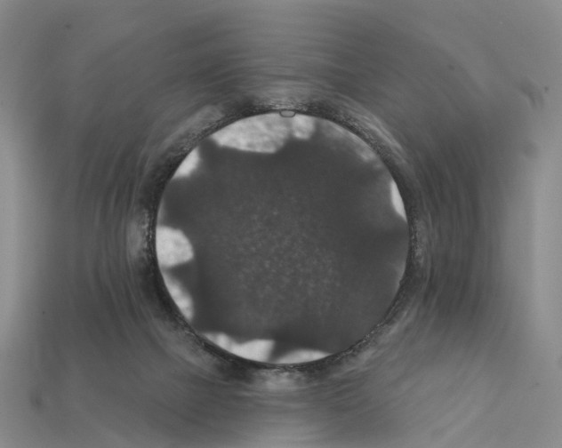 X0000112430073200909251545