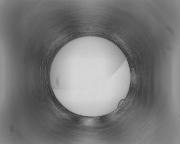 X0000112430074200909251545