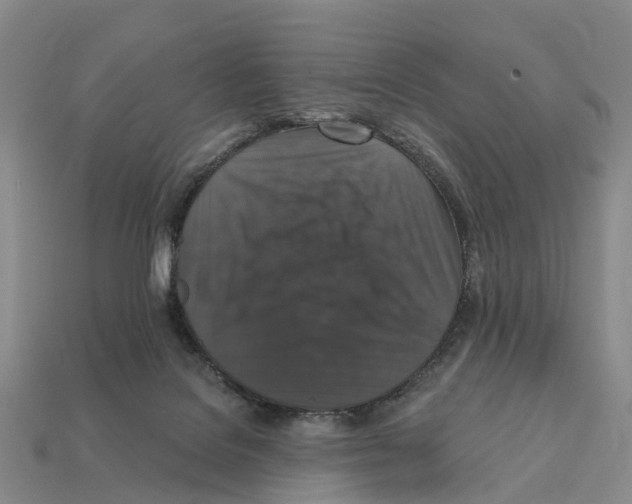X0000112430076200909251545