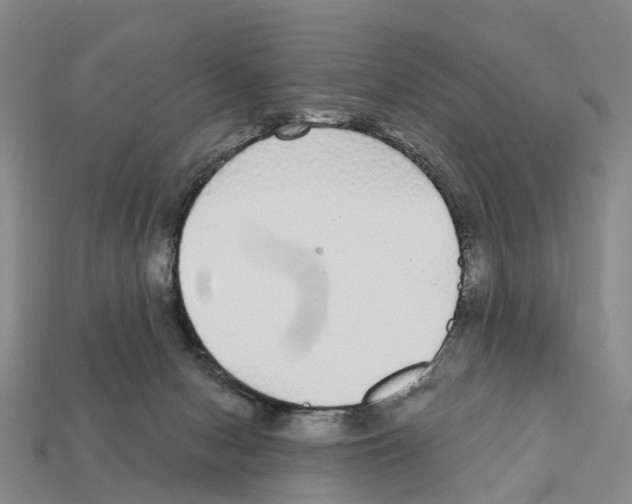 X0000112430078200909251545