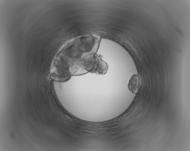 X0000112430079200909251545