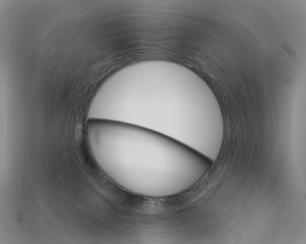 X0000112430080200909251545