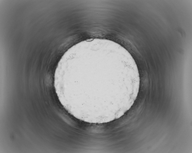 X0000112430081200909251545