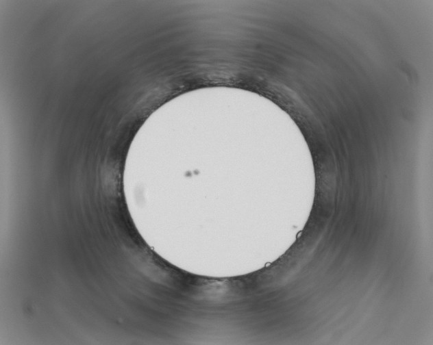 X0000112430083200909251545