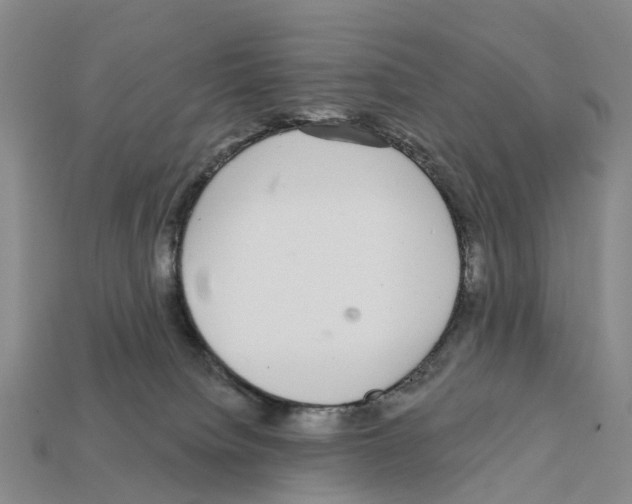 X0000112430084200909251545