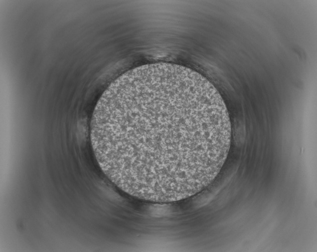 X0000112430085200909251545