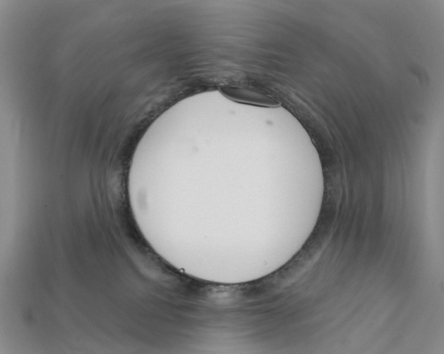 X0000112430088200909251545
