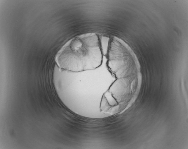 X0000112430093200909251545