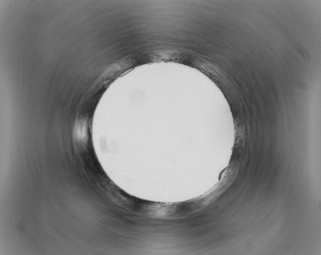 X0000112430094200909251545