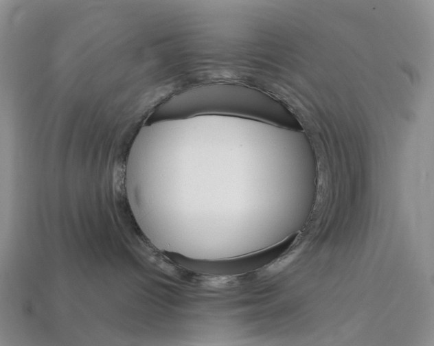 X0000112430096200909251545