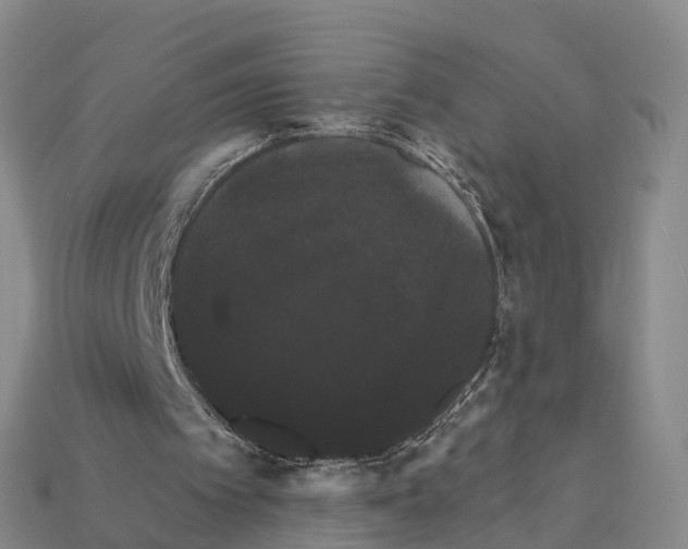 X0000112430097200909251545