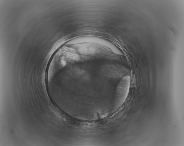 X0000112430099200909251545