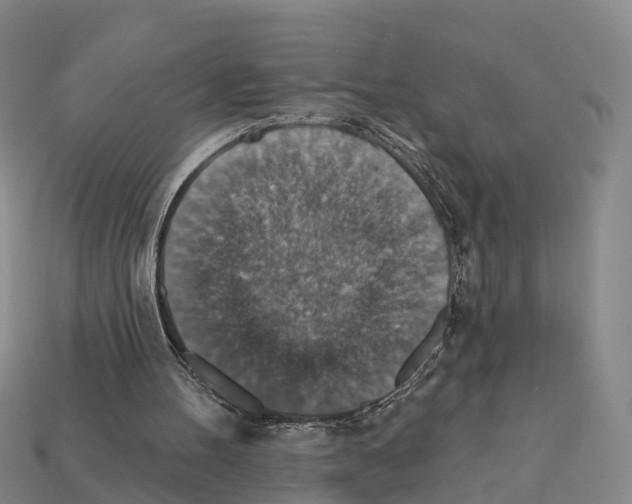 X0000112430100200909251545
