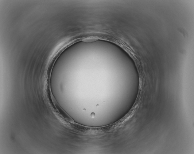 X0000112430101200909251545