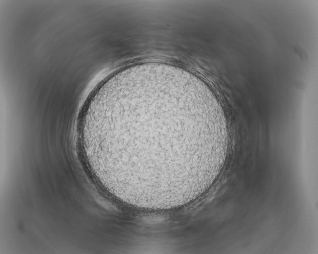 X0000112430102200909251545