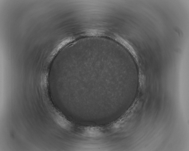 X0000112430105200909251545