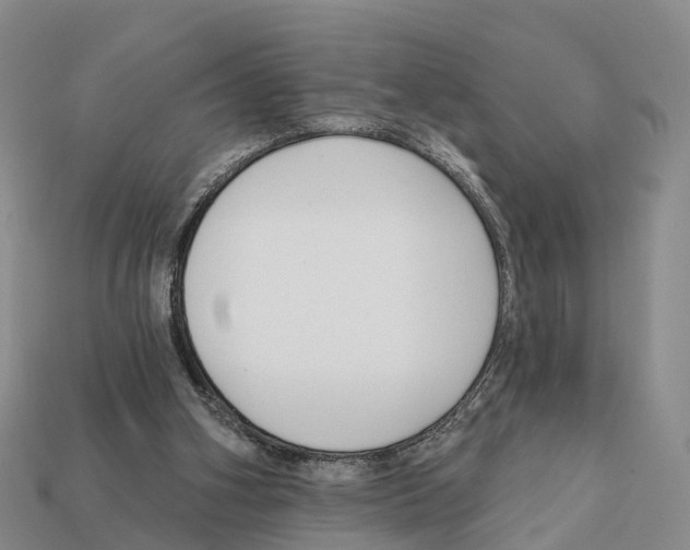 X0000112430106200909251545