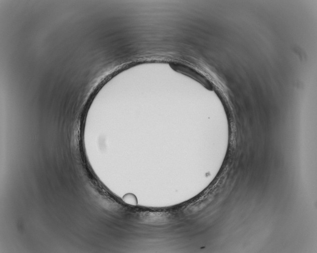X0000112430107200909251545