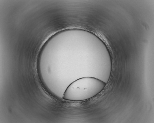 X0000112430108200909251545