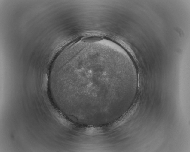 X0000112430109200909251545