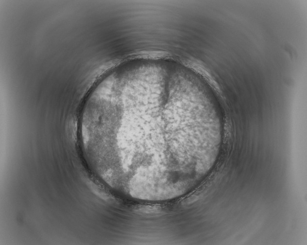 X0000112430110200909251545