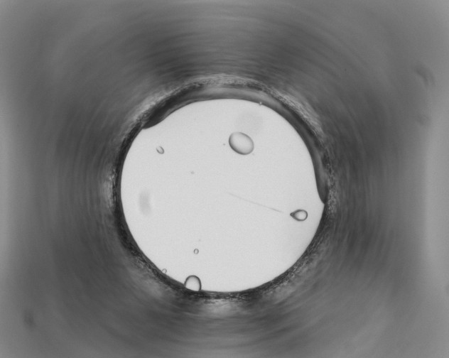 X0000112430111200909251545