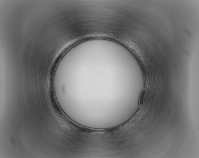 X0000112430112200909251545