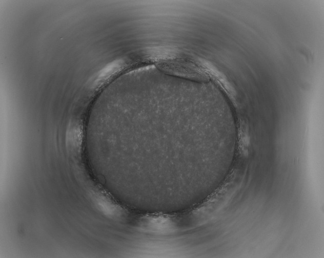 X0000112430113200909251545