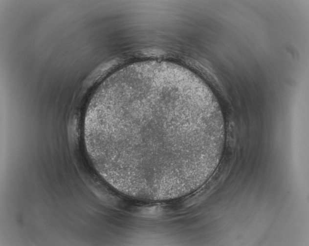 X0000112430116200909251545
